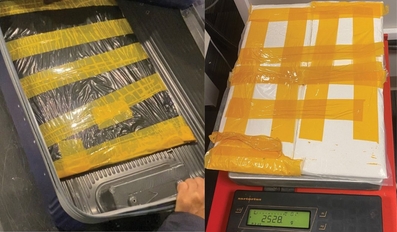 Airport authorities thwart smuggling of cocaine by an arriving passenger